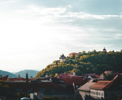 App Entwickler Graz — Baumreihe an der Stadtkante