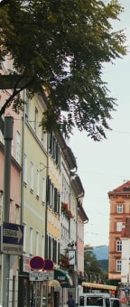 App Entwickler Graz — Blick auf historische Dächer und Skyline